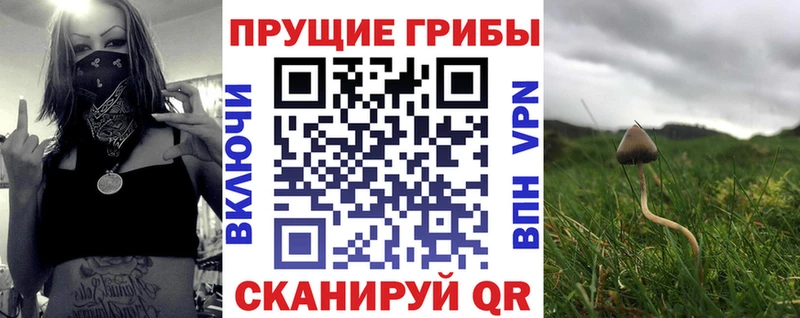 Псилоцибиновые грибы прущие грибы  закладка  Вышний Волочёк 